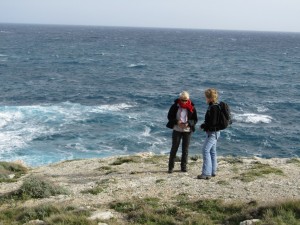 IMG_5421 (Medium)